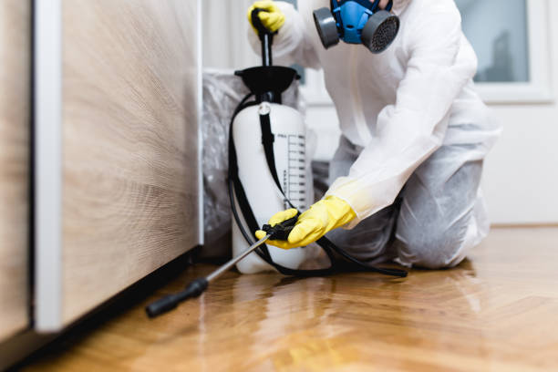 Best Rat Extermination Near Me  in Cashton, WI