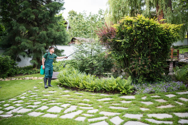 Best Exterminator Services  in Cashton, WI