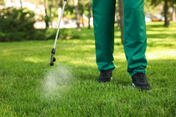 Professional Pest Control in Cashton, WI