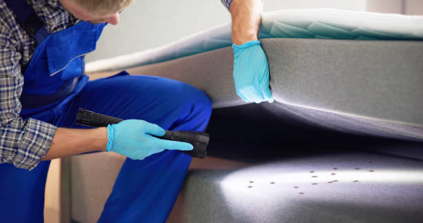 Best Emergency Pest Control  in Cashton, WI